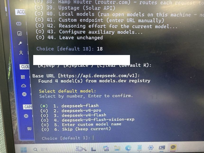DeepSeek 연결 과정의 모델 후보 목록. 최종 모델 선택 완료를 보여주는 화면은 아니다. 인증 정보는 흰색으로 가렸다.